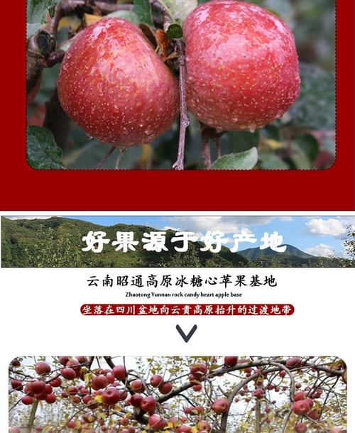 E2D0302B-40F3-4AE9-86B4-1C6408C81D64.jpeg