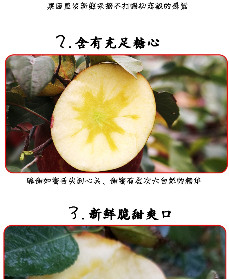 666907BC-5F2A-4CCB-AFAD-FBA4475FED59.jpeg