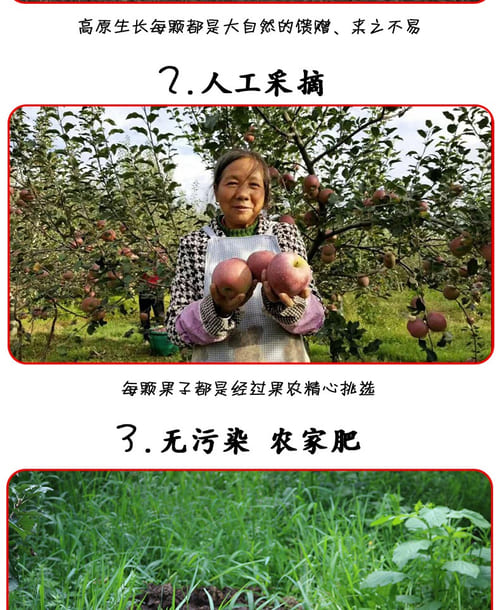 15344AE4-60B9-410D-B66A-C475DF79A486.jpeg