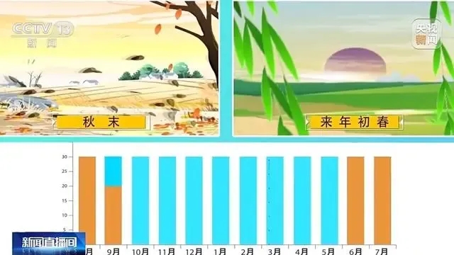1.webp.jpg