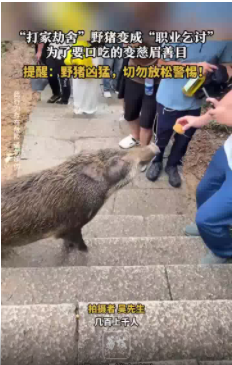 微信图片_20241129142233.png