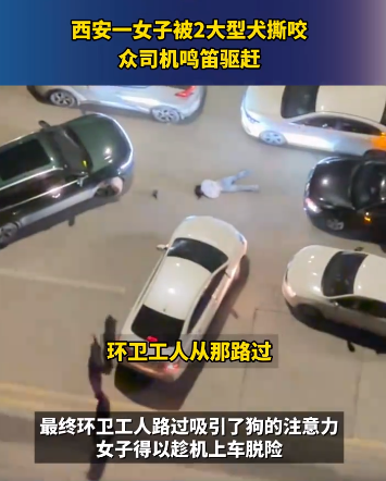 微信图片_20241130212818.png