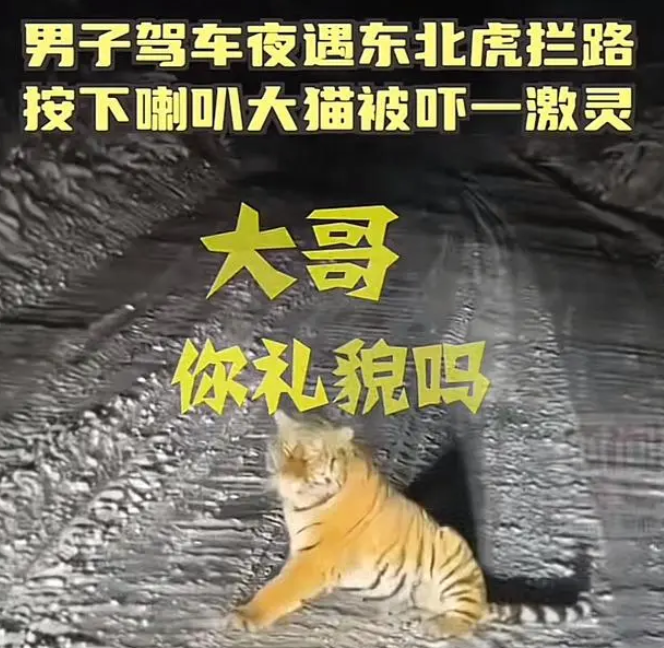 微信图片_20241204142713.png