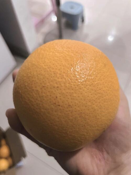 微信图片_20241208211252.jpg