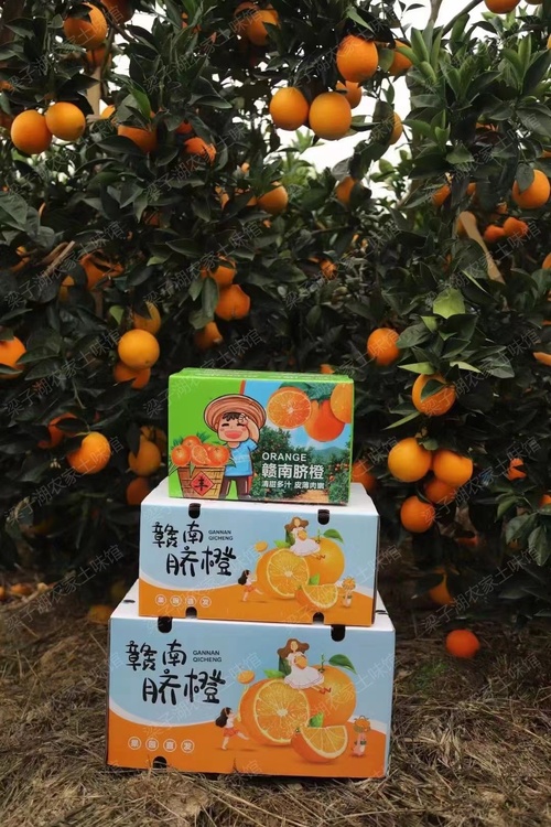 微信图片_20241208211244.jpg