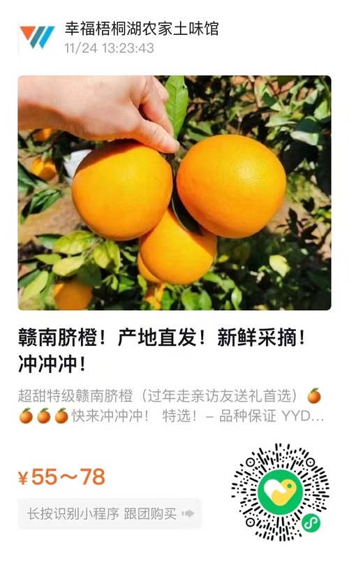微信图片_20241208211238.jpg
