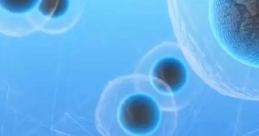 微信图片_20241215210205.png