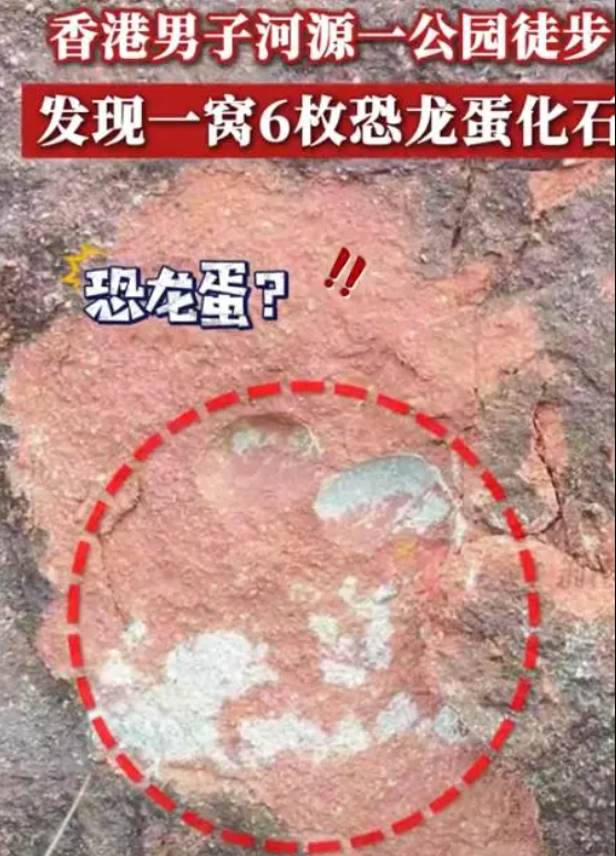 微信图片_20241215234319.png