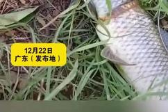 u=306729452,3805692316&amp;fm=3041&amp;app=3041&amp;size=f242,162&amp;n=0&amp;g=0n&amp;f=JPEG.jpg.jpg