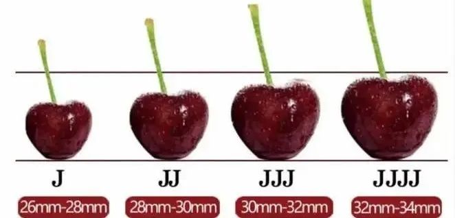 640_wx_fmt=jpeg.jpg