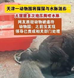 微信图片_20250103002920.png