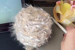 u=251122496,378923269&amp;fm=217&amp;app=125&amp;size=f242,162&amp;n=0&amp;g=0n&amp;f=JPEG.jpg.jpg