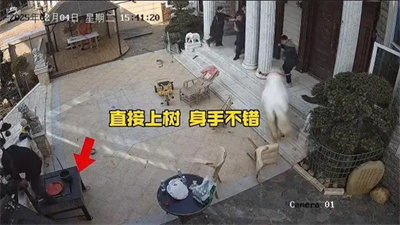 640_from=appmsg&amp;tp=webp&amp;wxfrom=10005&amp;wx_lazy=1&amp;wx_co=1.jpg