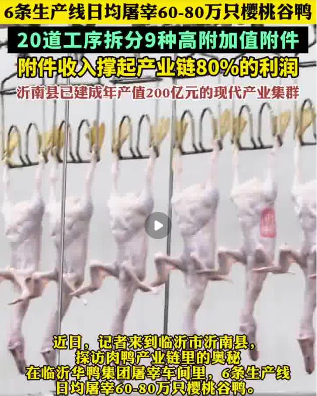 360截图20250606194213819.jpg